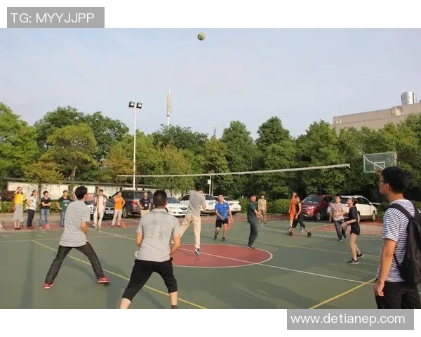 广州排球队在全国排球团队协作排行榜中荣获第四名的佳绩分析